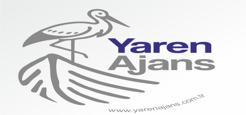 blog_image